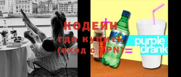 гидра Богородск
