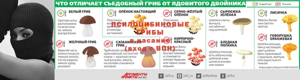 гидра Богородск