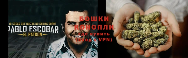гидра Богородск