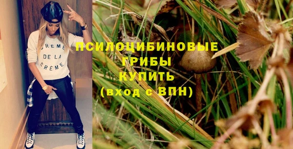 гидра Богородск