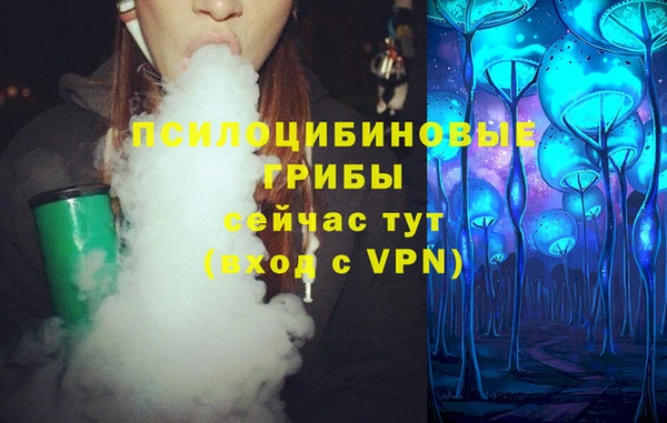 гидра Богородск