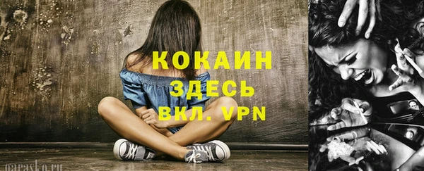 ECSTASY Бородино