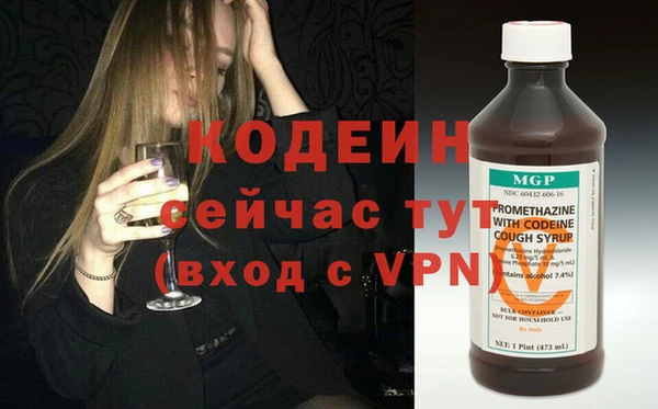 гидра Богородск