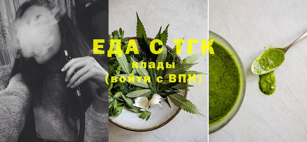 гидра Богородск