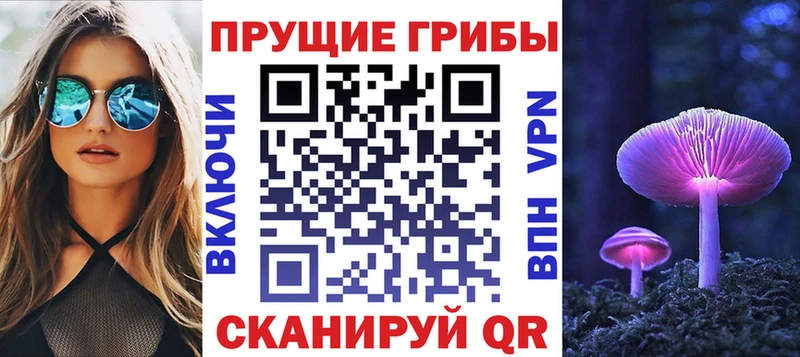 мега ССЫЛКА  продажа наркотиков  Новая Усмань  Галлюциногенные грибы мицелий 